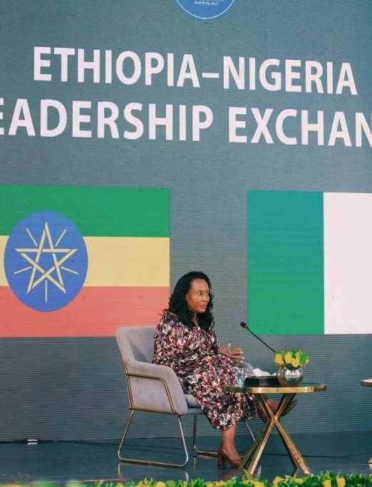 Photo accompanying the Fana report on Addis Ababa's early childhood development exchange with the Nigerian delegation.