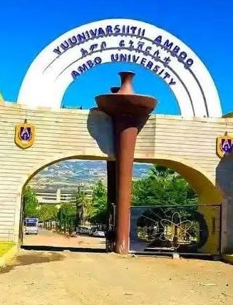 Beeksisa galmee Yuunivarsiitii Ambo akka Tikvah University Telegiraamii irratti qoodetti.