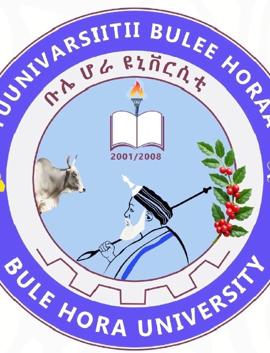 The Bule Hora University registration notice as shared on Tikvah University's Telegram channel.